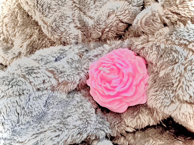 Pink Me Rose